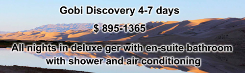 Gobi discovery