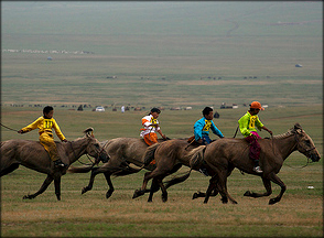 Naadam horse racing